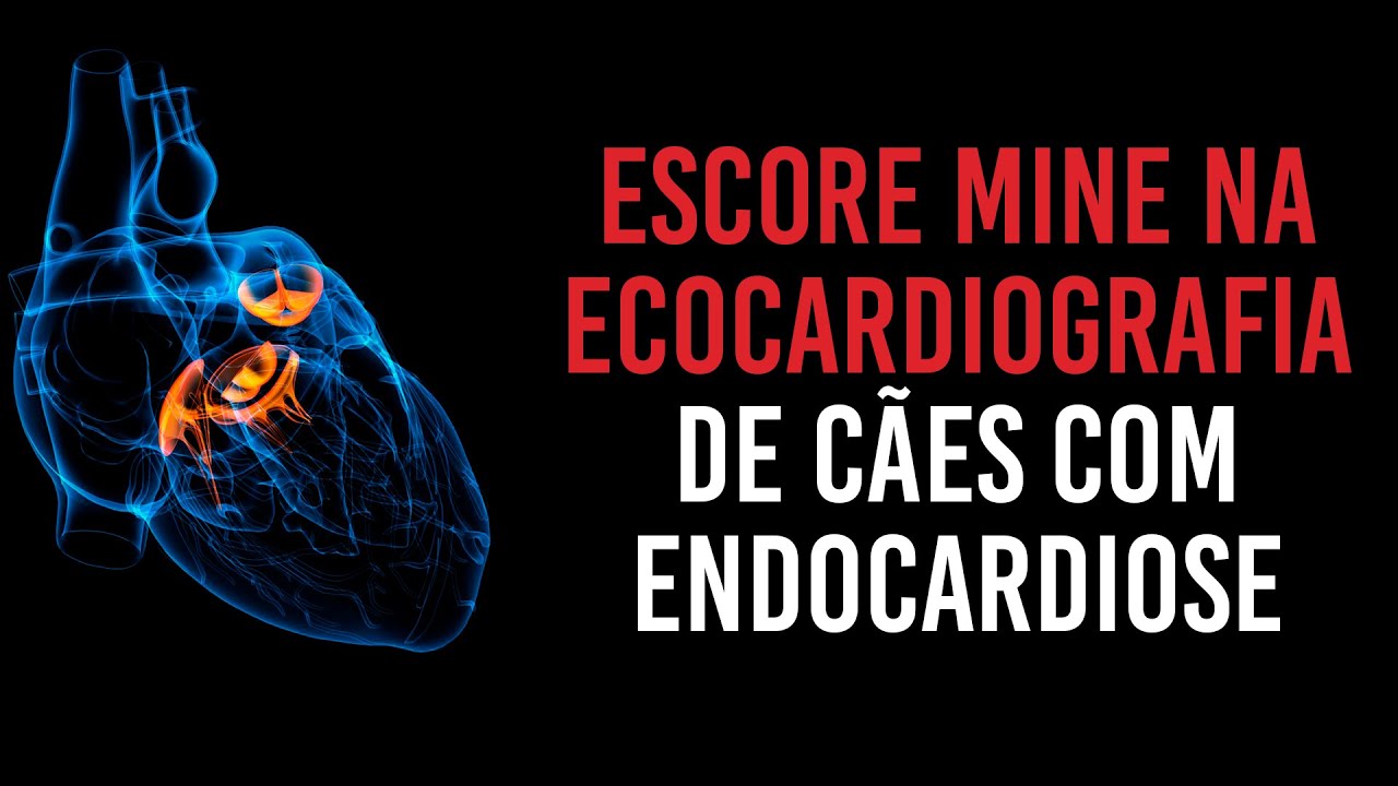 Como graduar a gravidade da doença valvar mitral na ecocardiografia com o escore MINE