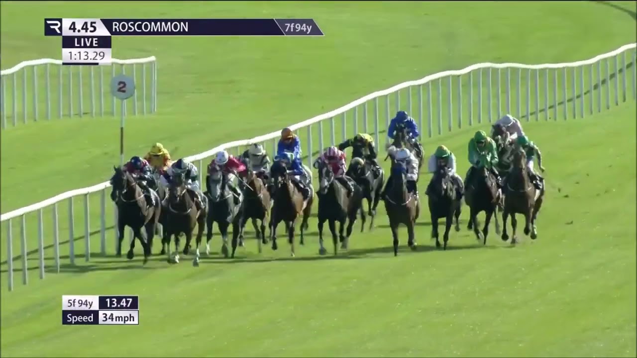 Manhattan Dandy Roscommon Sept 2nd 2024
