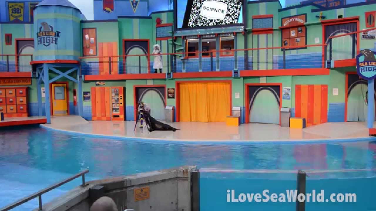 Sea Lion High Premier at SeaWorld San Antonio