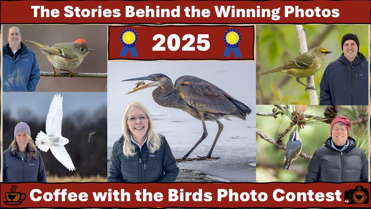 2025 Photo Contest:  Stories Behind the Winning Photos