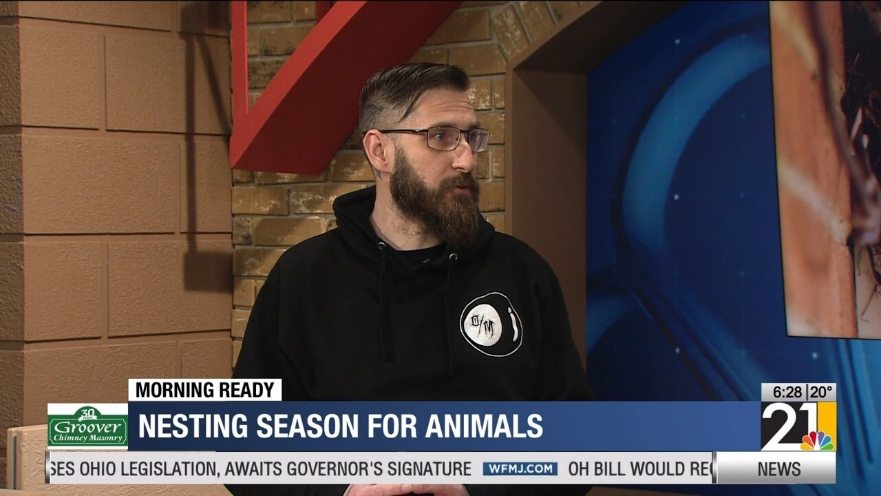 Buttoning up your home ahead of animal nesting season