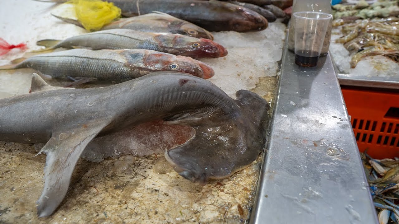 Entré al mercado de las carnes exóticas de la Ciudad de México🦁🇲🇽 | Mercado de San Juan|