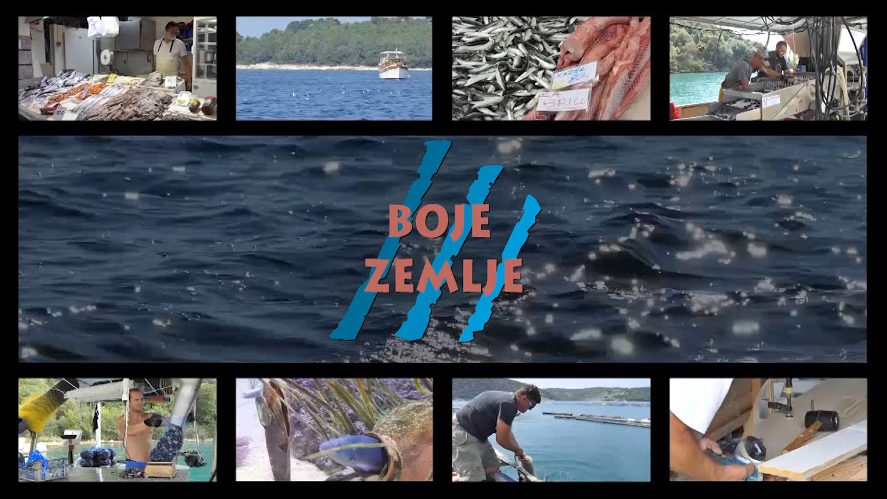 BOJE ZEMLJE emisija o moru 8.11.2020.