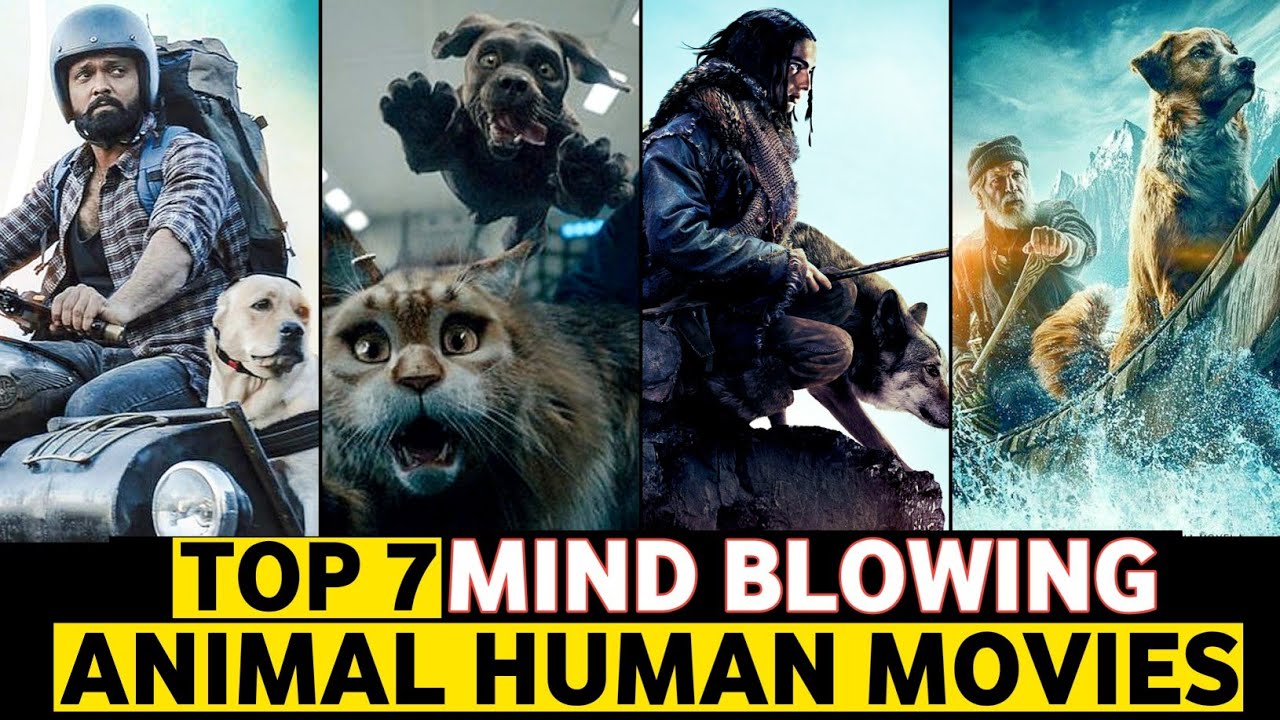 Top 7 Best Human and Animal friendship Movies in hindi | MovieLoop