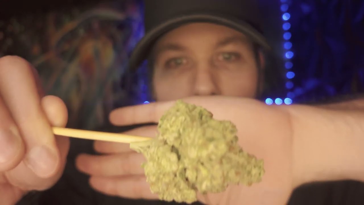 Canna Cured Purple Splash Review