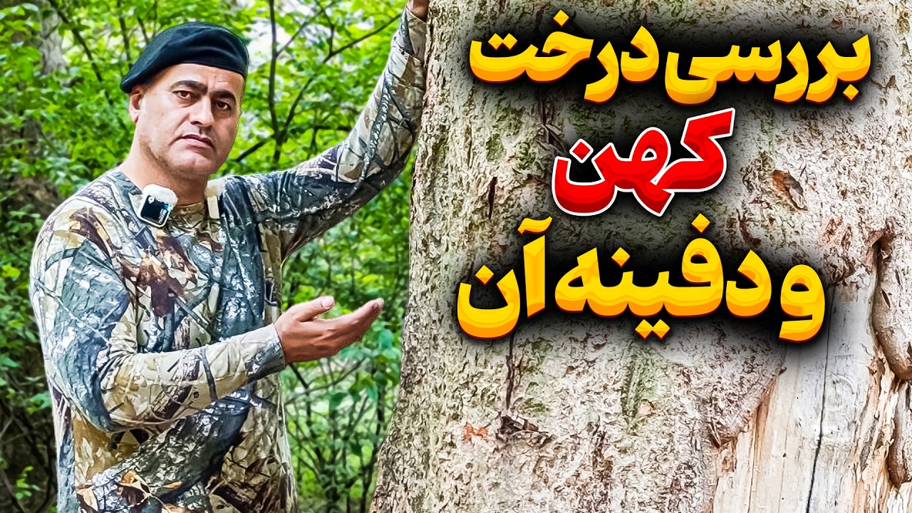 راز درخت کهن سال در جنگل 🌱 کشف دفینه های مخفی
