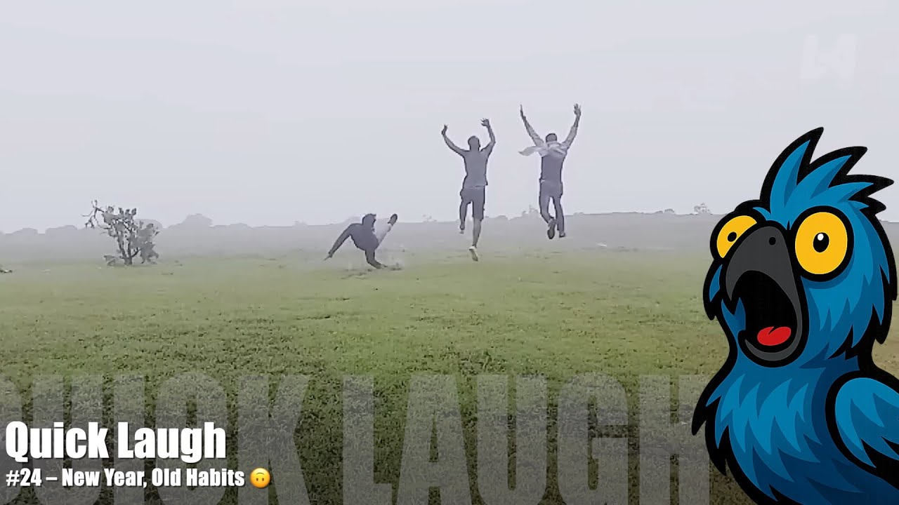 Quick Laughs #24 – New Year, Old Habits 🙃 | Fail Compilation