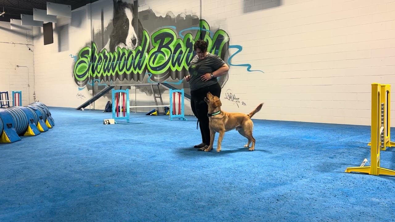 12/30/2025 Heeling attitude and catch ups 