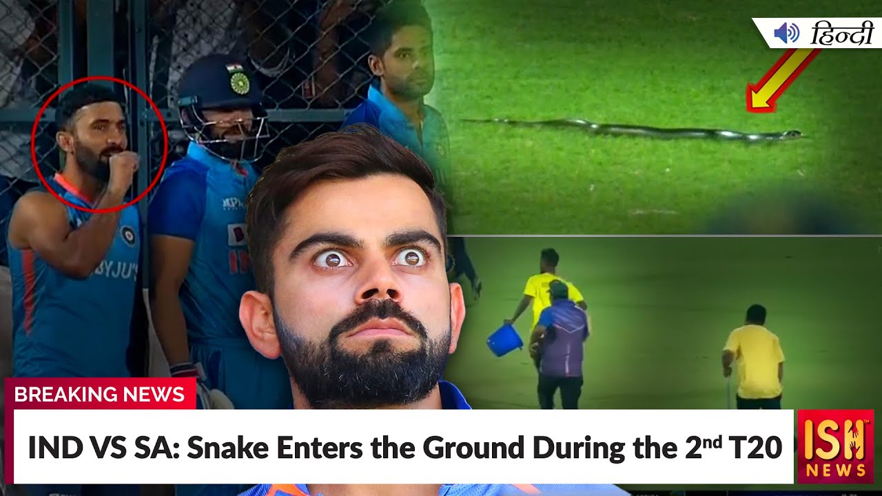 IND VS SA: Snake Enters the Ground During the 2nd T20 | ISH News