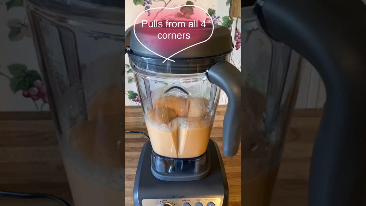 Princess House Vida Sana High Speed Blender