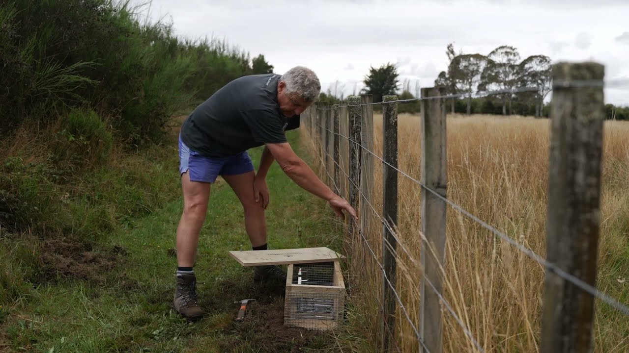 Setting Up the DOC 200 Double Trap | Cam Speedy's Efficiency Guide
