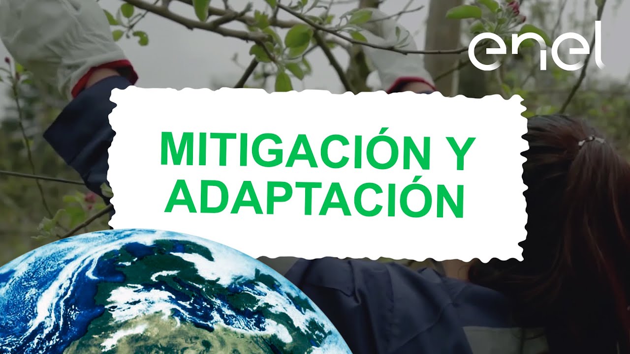 Mitigación y Adaptación frente al cambio climático