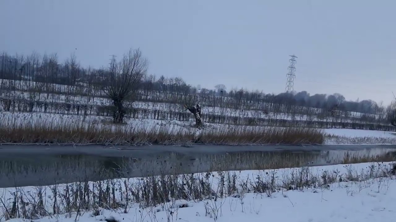 Park Lingezegen sneeuw 06-01-2026