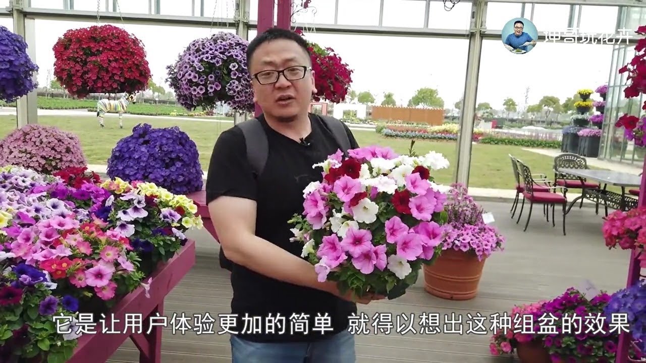 看到这些奇花异草，你的心情都会变好【坤哥玩花卉】