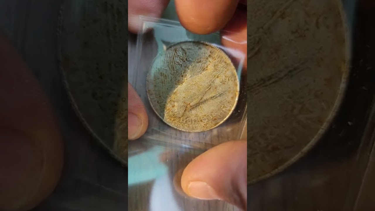 Over 140 fake coins!  A library of counterfeit gold, silver, and copper coins.