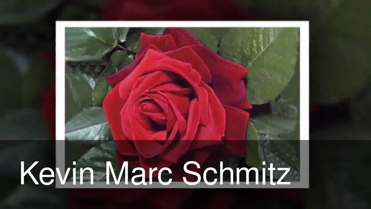 Kevin Schmitz Rot sind Die Rosen 2011 (Instrumental)