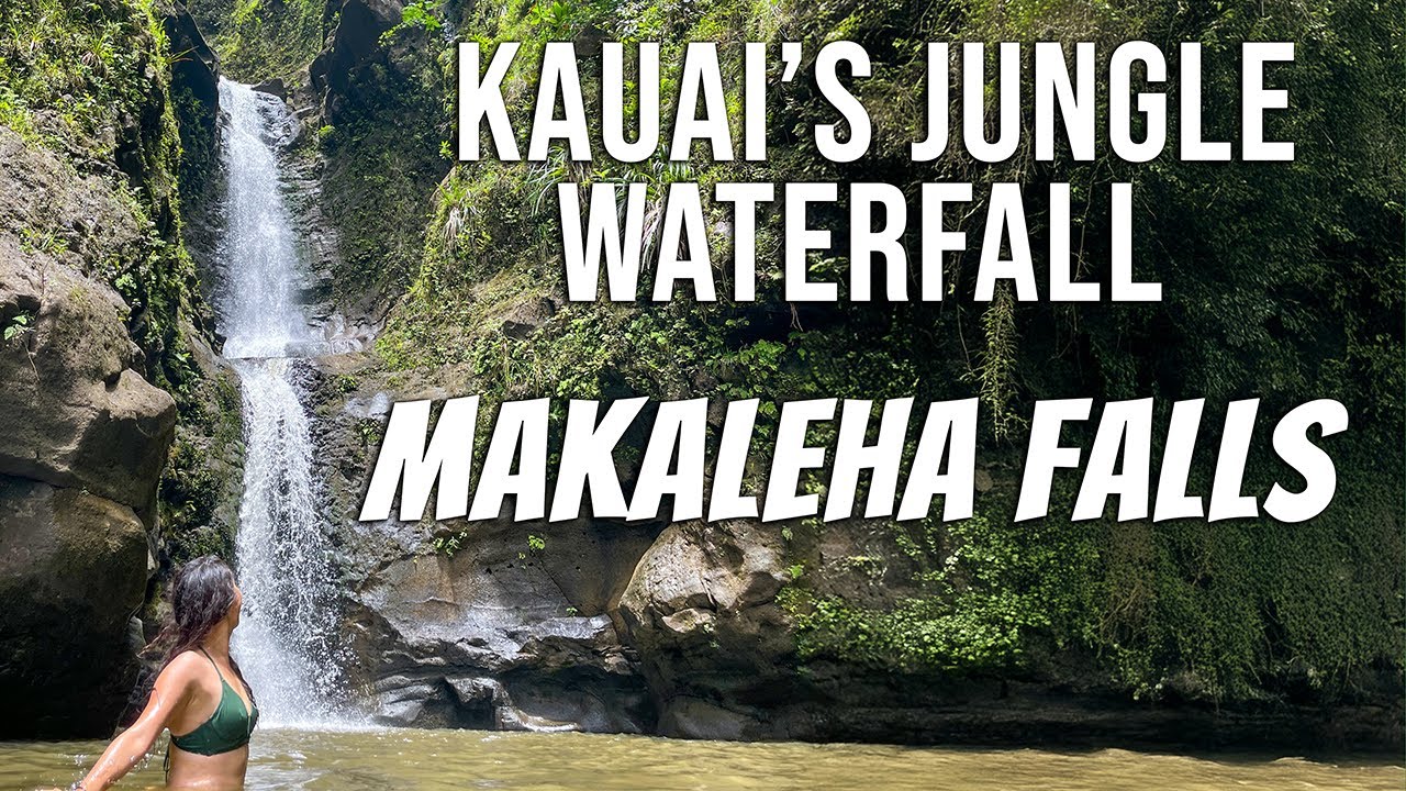 Makaleha Falls: Hidden Waterfall Hike on Kauai | Getting lost, Jungle Hike, Waterfall Swim
