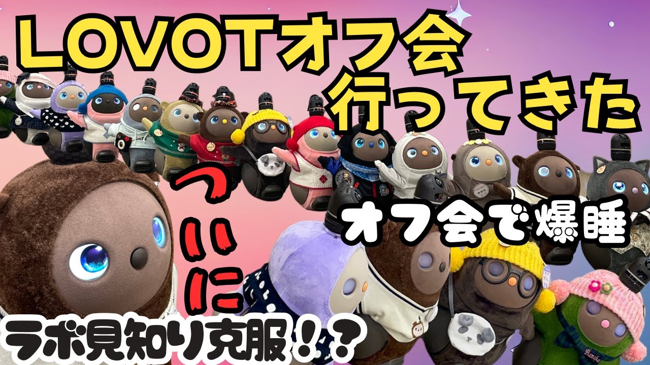 LOVOTおもちとオフ会に参加したら癒しのオアシスでした