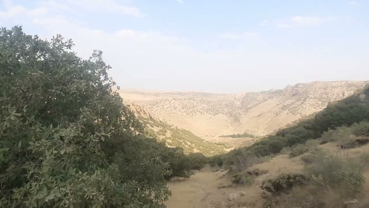 Saber karimi
