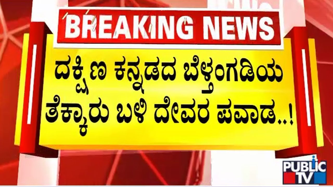 Ancient Gopalakrishna Idol Found Near Tekkaru In Belthangady | Public TV