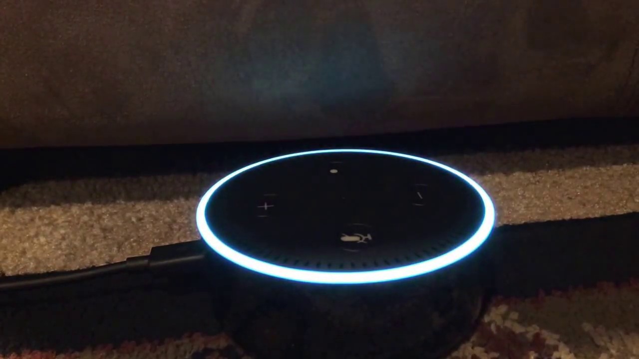 (WARNING) DO NOT DO THIS WITH ALEXA... #1