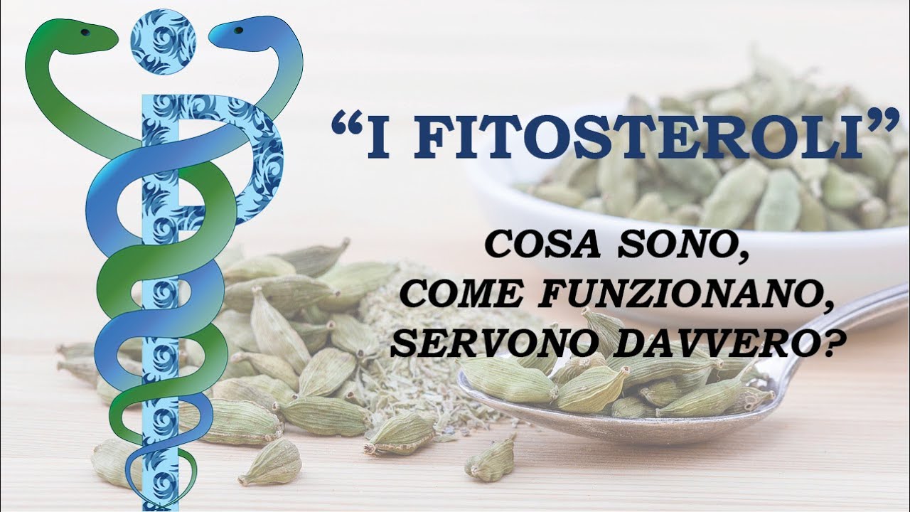 I FITOSTEROLI - Cosa sono, come funzionano, servono davvero?