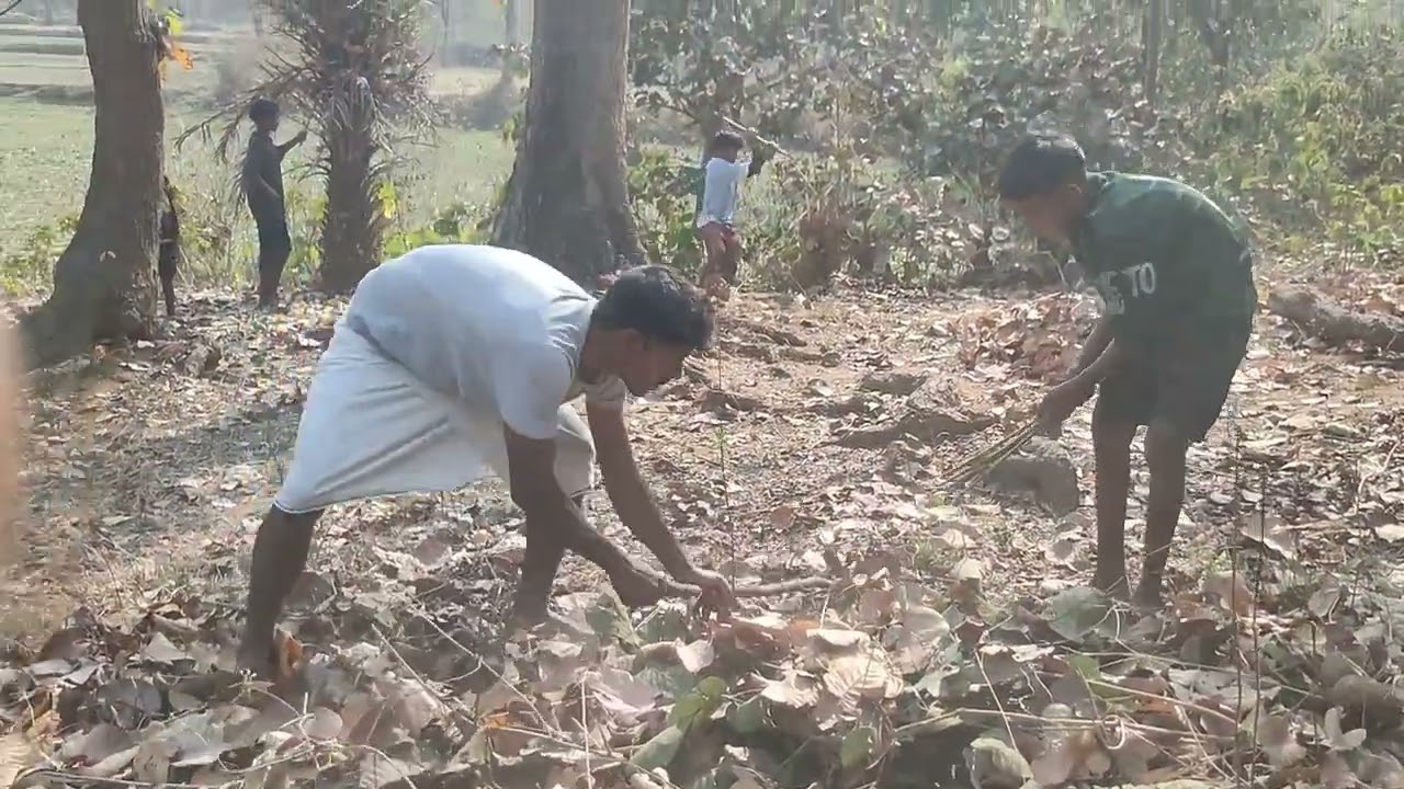 Baha Bong // New Santhali video 2026//#newvideo 