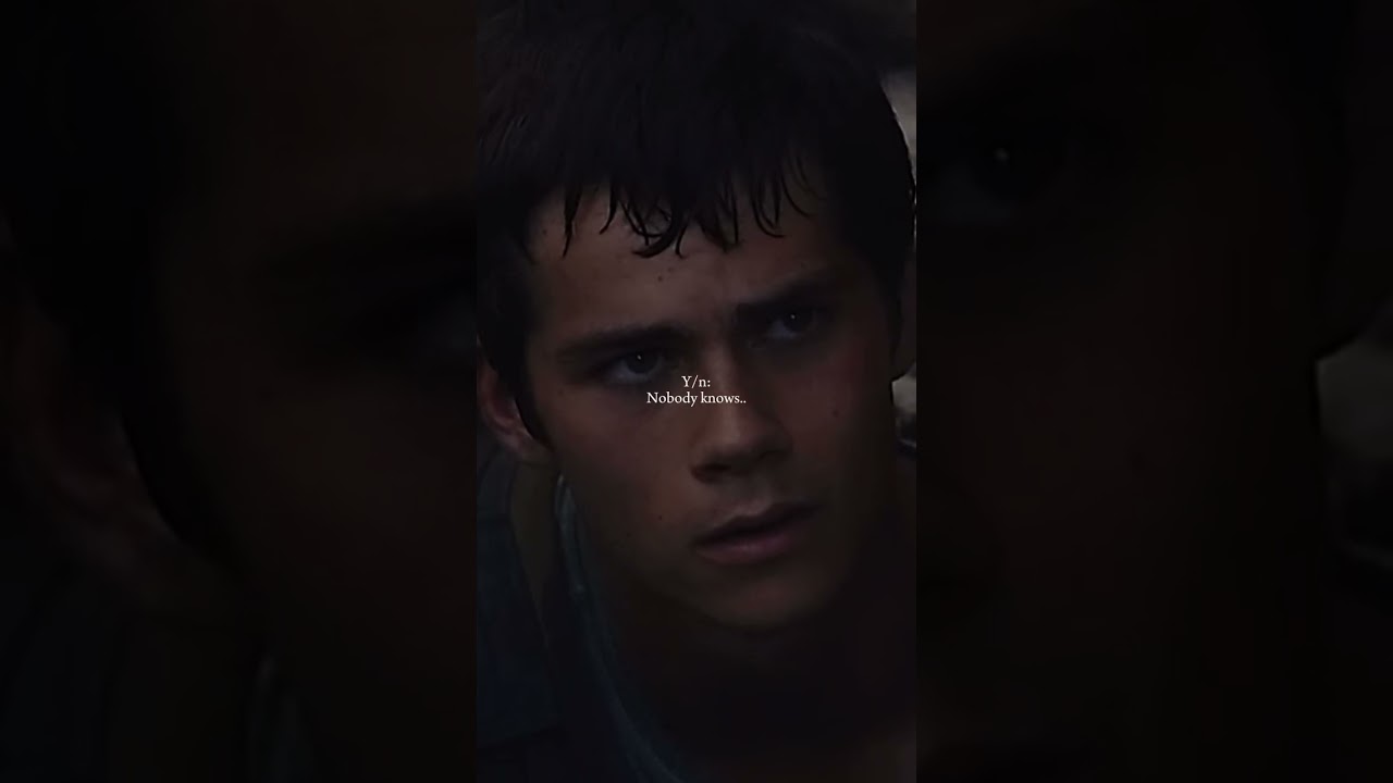 Y/n x Newt||S1 E31//#mazerunner #newt #yn #fypシviralシ2024シ #series #thomas