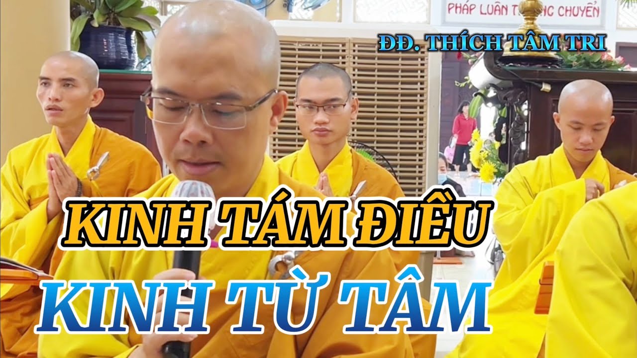 Kinh Nhật Tụng: Kinh Tám Điều - Kinh Từ Tâm | ĐĐ. Thích Tâm Tri 
