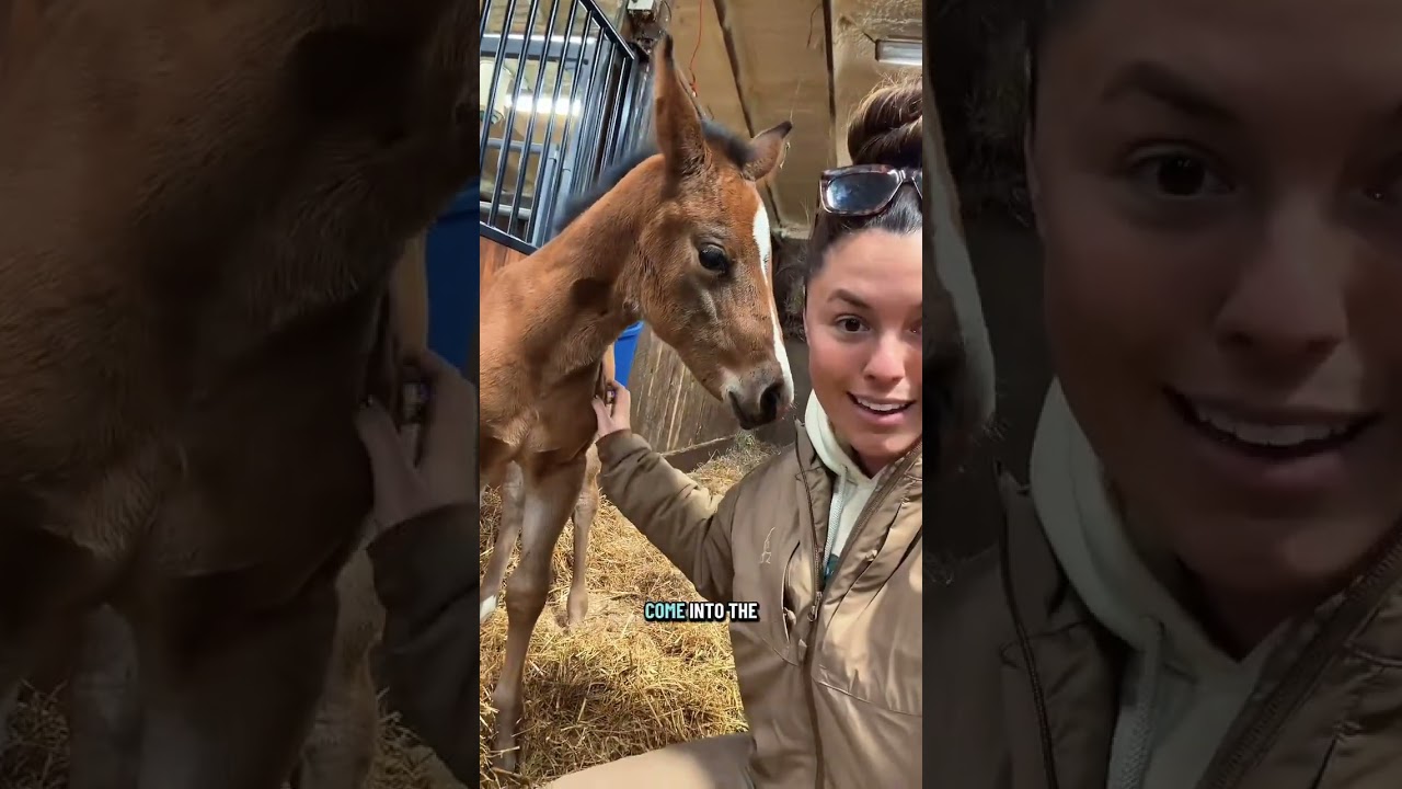 Watch Bobbi&rsquo;s FULL BIRTH VIDEO on YouTube! #horse #babyanimals
