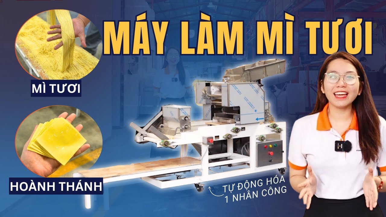 Review Máy Làm Mì Tươi Công Nghiệp | Máy Làm Mì Sợi, Hoành Thánh 1 Người | Foenix Engineering