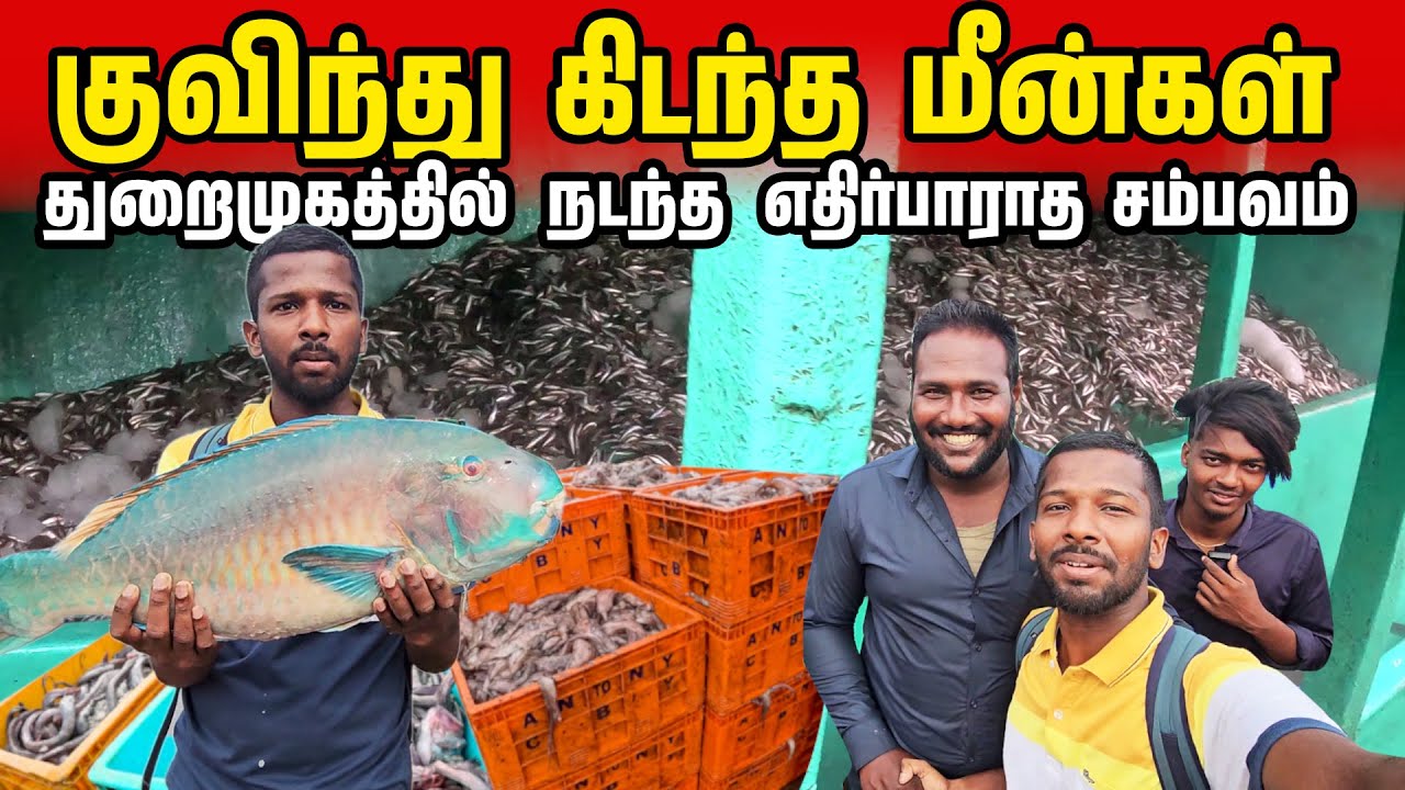 தமிழ்நாட்டில் சிக்கிய நாகப்பட்டின Youtuber | Nagapattinam Fish Market | Jaffna Suthan