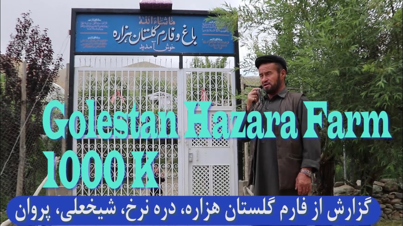 گزارش از فارم گلستان هزاره ،دره نرخ،والسوال شیخعلی،غوربند،ولایت پروان ،افغانستان