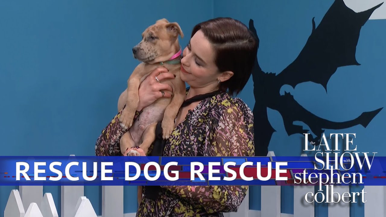 Rescue Dog Rescue: Game Of Thrones Edition With Emilia Clarke