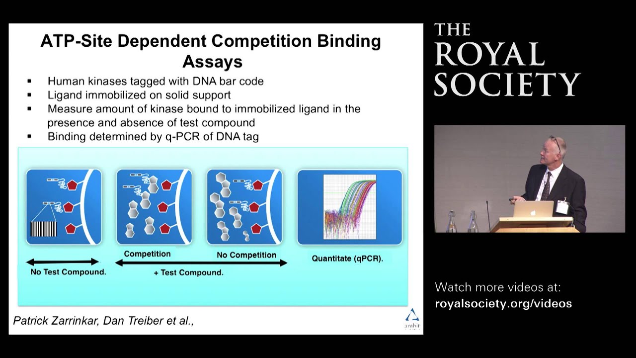 Targeting the human kinome: cancer drug discovery