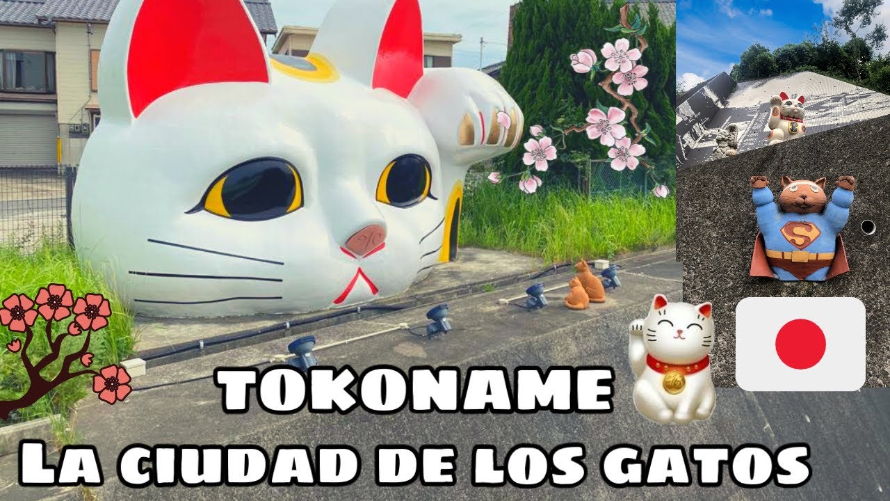 TOKONAME - LA CIUDAD DE LOS GATOS