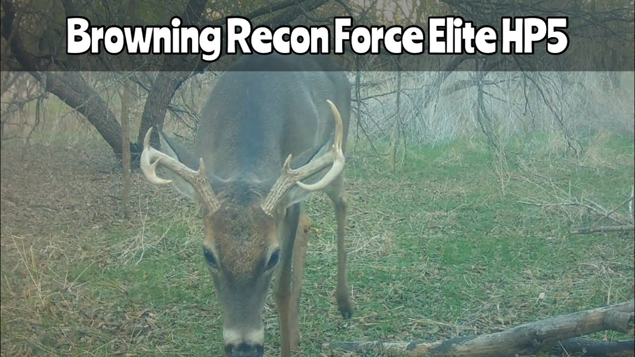 Browning Recon Force Elite HP5 Nov. 2025