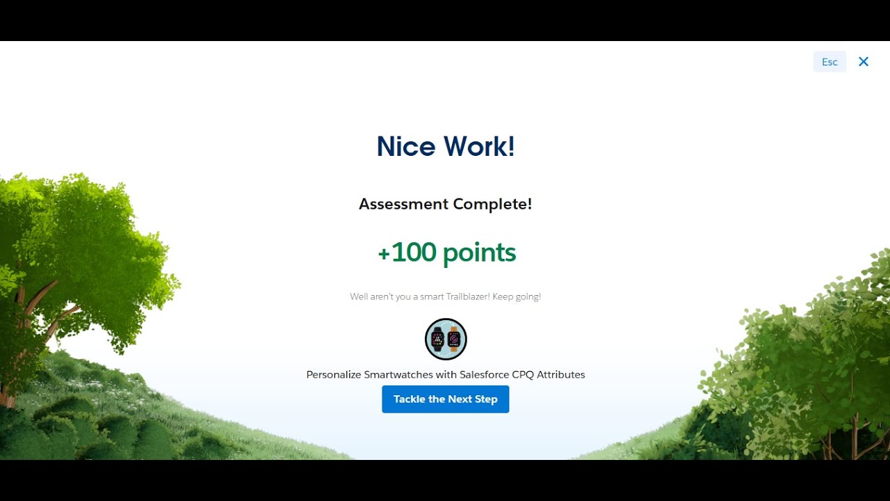 Create Smartwatch Attributes for Size and Accent org At Personalize Smartwatches with Salesforce CPQ
