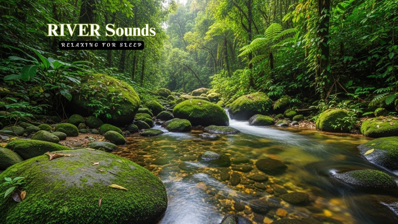 Deep Sleep All Night 🌙 Forest River Sounds for Total Relaxation