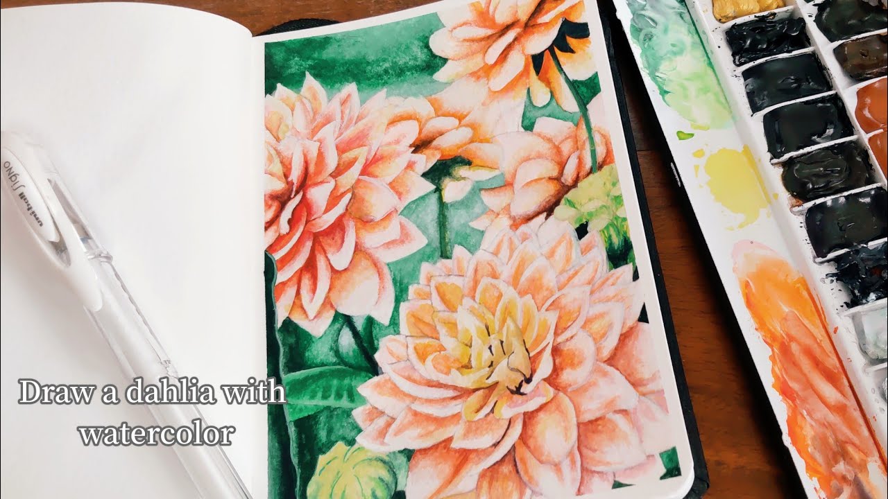 水彩画を始めて217日目／透明水彩で植物画を描く🏵ダリアの花