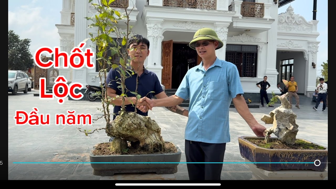 Thăm vườn cây cảnh của đại gia chính,chốt cây lấy lộc đầu Năm.