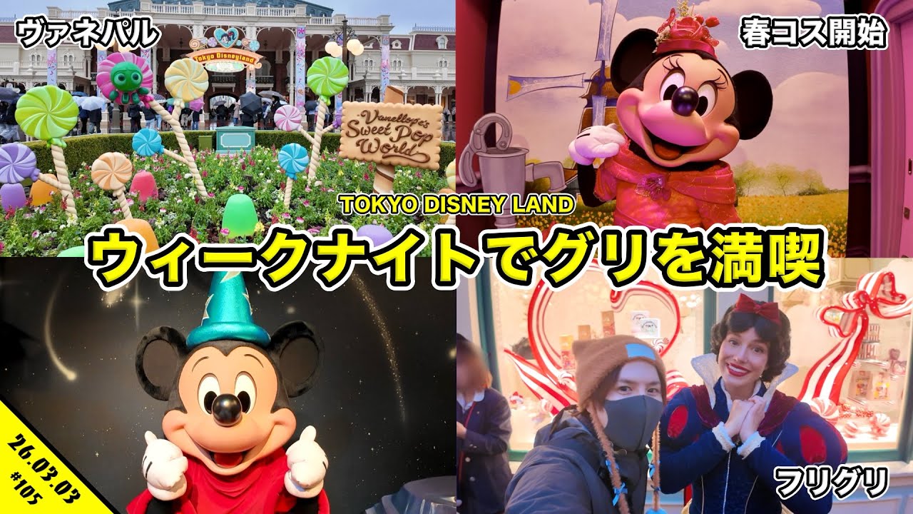 【VLOG】ウィークナイトパスポートでグリーティング出来る？１７時からディズニーランドを満喫！【混雑状況】