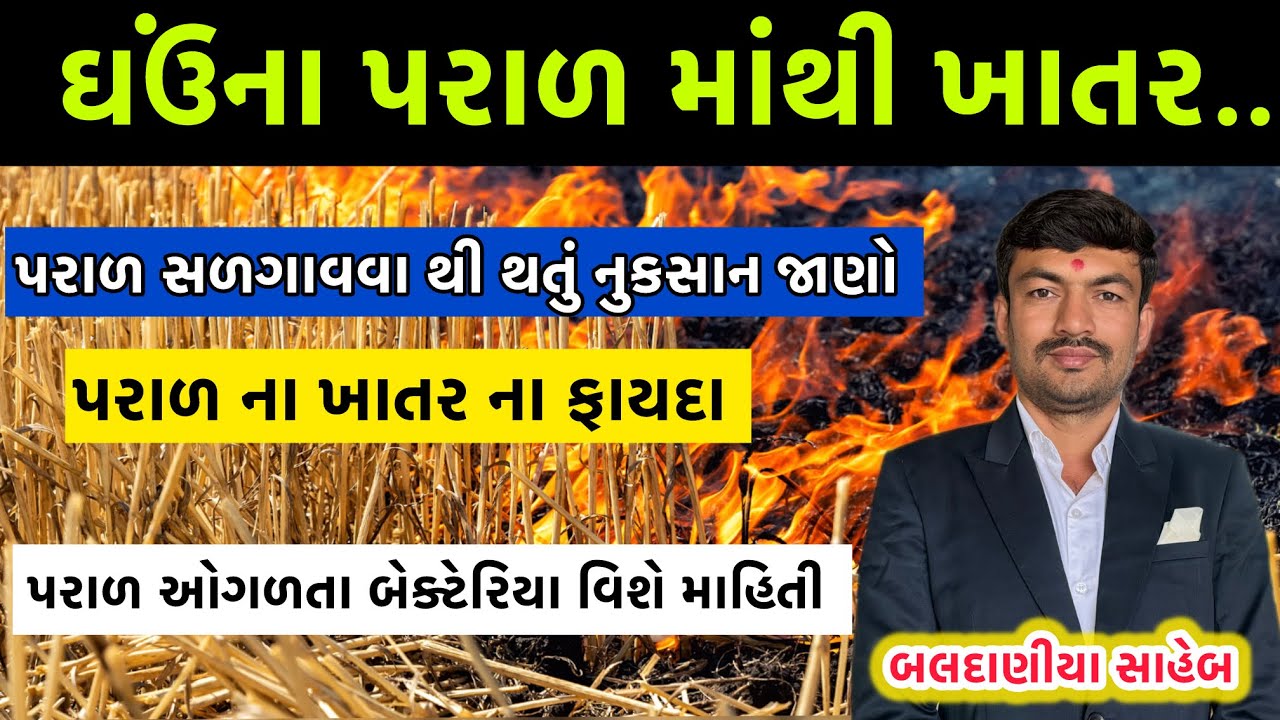 ઘઉંના પરાળમાંથી સોના જેવુ ખાતર બનાવો! 🌾 પરાળ સળગાવતા પહેલા આ વિડિયો જરૂર જોજો.@GJ4FARMING