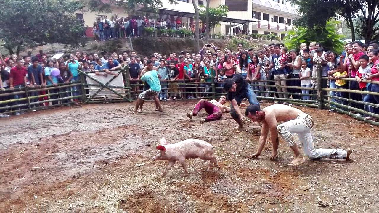 La mejor distracci&oacute;n del mundo