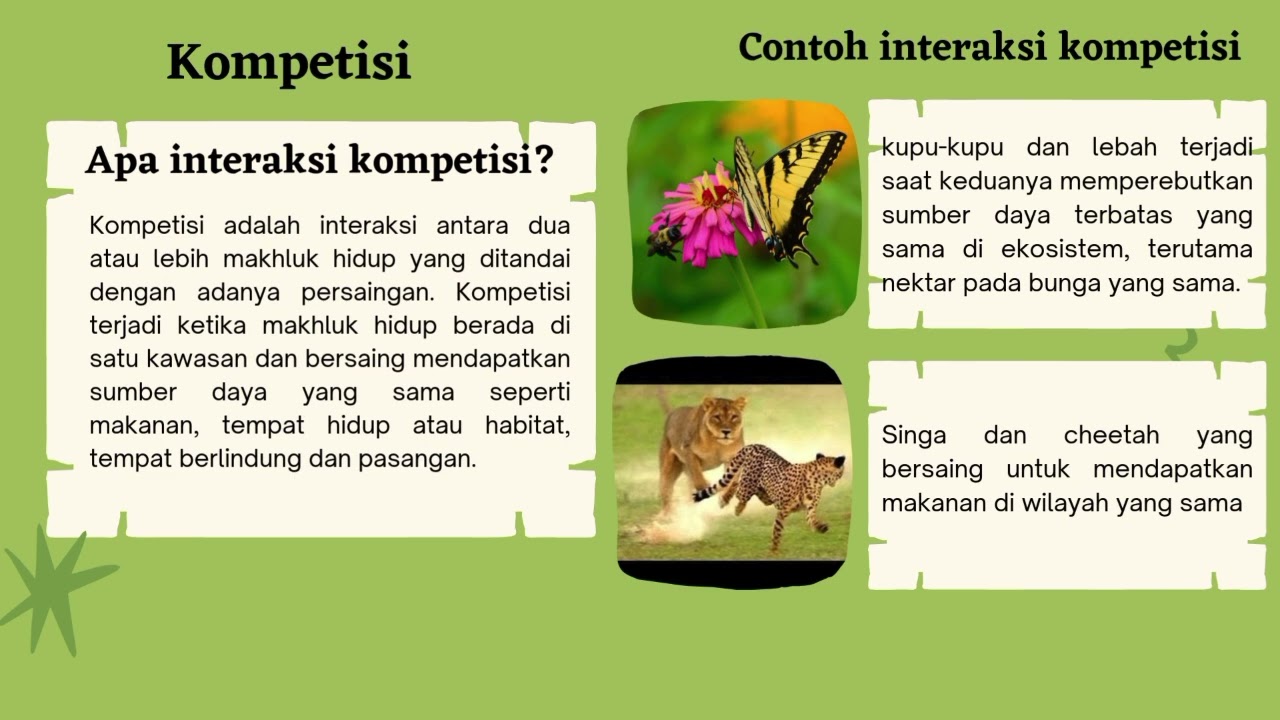 Interaksi Antara Penyusun Ekosistem_Ekologi dan Keanekaragaman Hayati