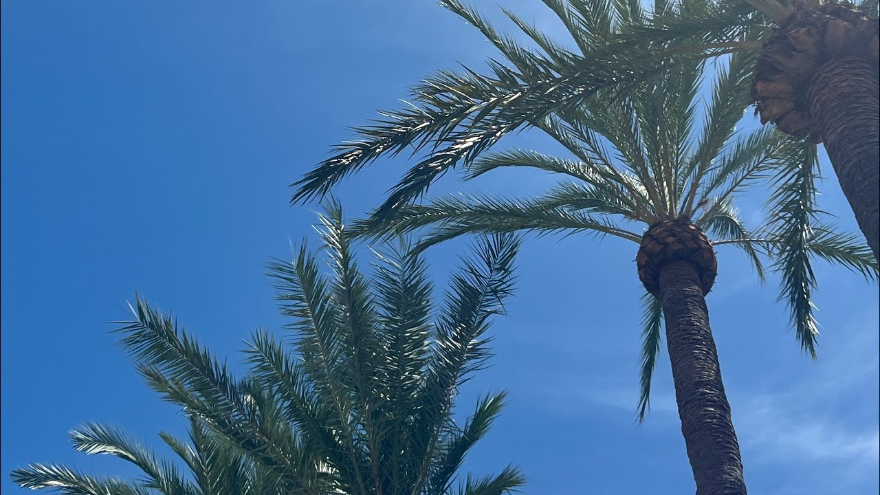 Summer Vlog 1 à Cannes