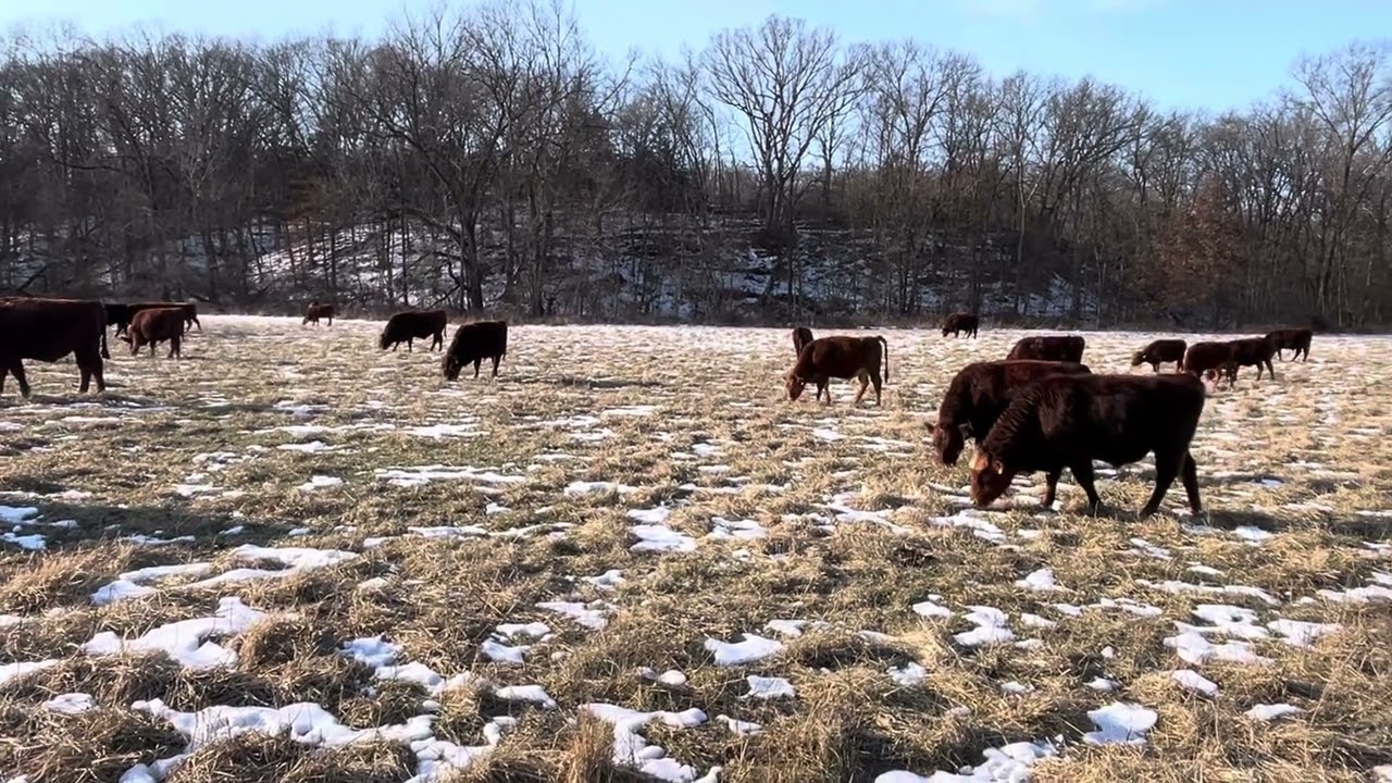 Greg gives brief history of Green Pastures Farm, sharing success and failures along the way.
