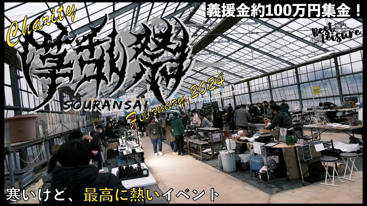 【チャリティー草乱祭】雪降るハウスの激アツ植物イベントでたくさんお暖かさに触れてきた｜シマムラ園芸｜塊根植物｜アガベ｜万年青（おもと）｜作家鉢