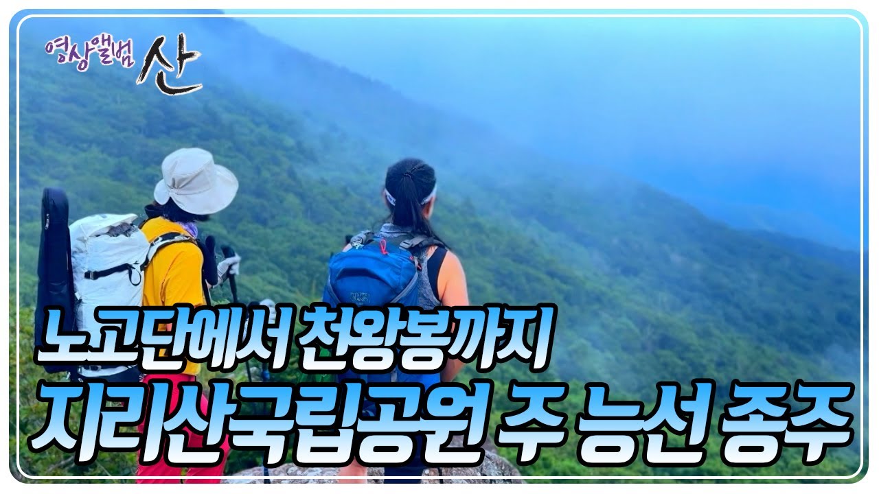 ⛰️산을 사랑하는 이들이라면 한 번쯤 꿈꾸는 도전. 지리산국립공원 주 능선 종주! [영상앨범 산] KBS 250824 방송