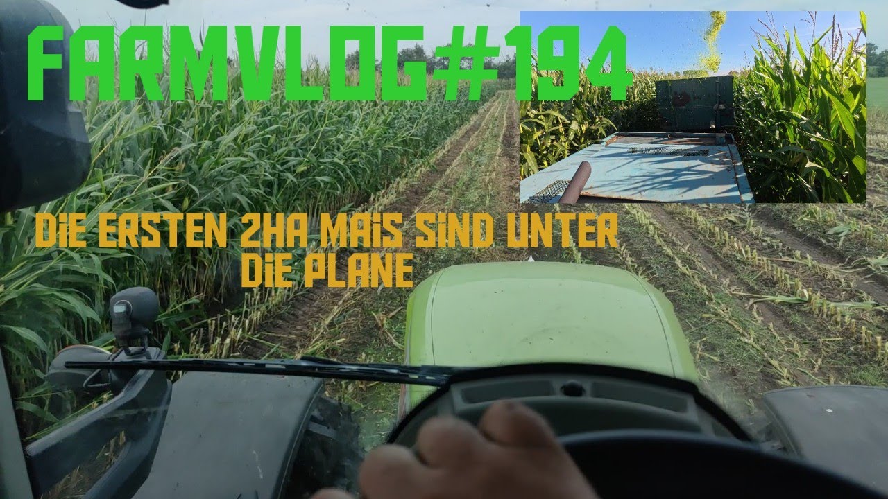Farmvlog#194 Der Mammut frisst sich durch den Mais Dschungel/ Mengele SF300 auch wieder im Einsatz.